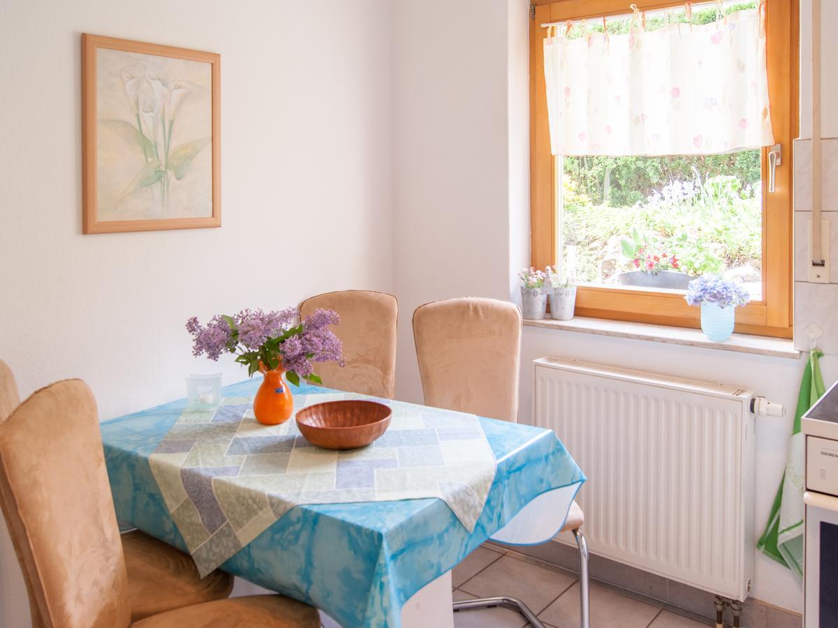 Ferienwohnung Ueber Den Daechern Von Dresden Exteriör bild